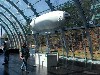 Luftschiffmodell